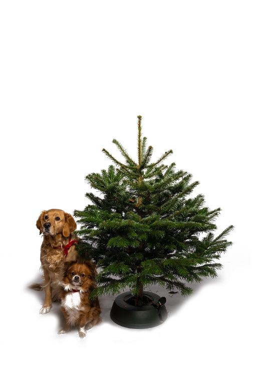 Minilyx – liten lyxig julgran för det eleganta hemmet